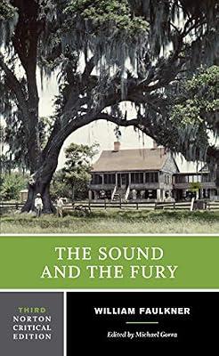 The Sound and the Fury by William Faulkner Michael Gorra | Paperback | Fiction