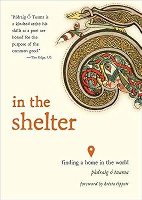In the Shelter: Finding a Home in the World by Tuama, Padraig O. | Paperback | Religion