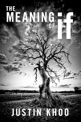 The Meaning of If by Khoo, Justin | Hardcover | Philosophy