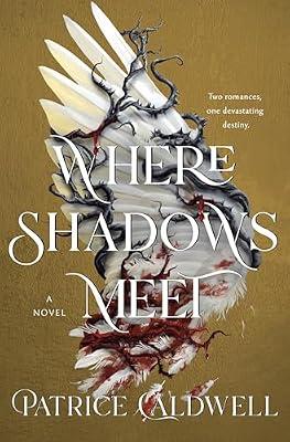 Where Shadows Meet: A Novel by Caldwell, Patrice | Hardcover | Young Adult Fiction