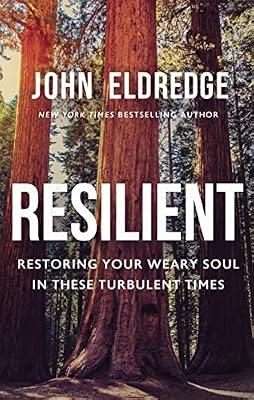 Resilient by Eldredge, John | Hardcover | Religion
