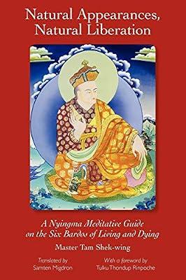 Natural Appearances, Natural Liberation by Tam, Shek-Wing | Paperback | Religion: General
