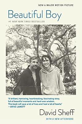 Beautiful Boy (Tie-In): A Father's Journey Through His Son's Addiction by Sheff, David | Paperback | Biography & Autobiography