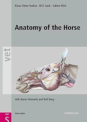 Anatomy of the Horse by Budras, Klaus Dieter; Sack, W. O.; Rock, Sabine; Horowitz, Aaron; Berg, Rolf | Hardcover | Medical