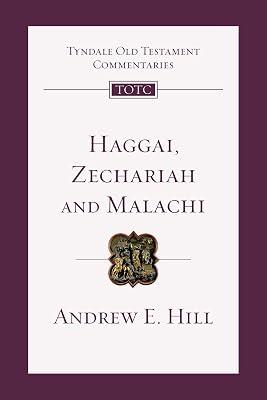 Haggai, Zechariah and Malachi: An Introduction and Commentary: 28 (Tyndale Old Testament Commentaries, 28) by Hill, Andrew E. | Paperback | Religion 2