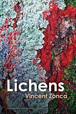 Lichens - Toward a Minimal Resistance by Zonca, Vincent | Paperback | Political Science