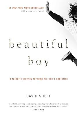 Beautiful Boy: A Father's Journey Through His Son's Addiction by Sheff, David | Paperback | Biography & Autobiography 2