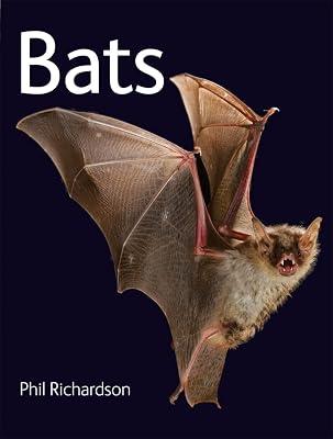 Bats by Phil Richardson | Paperback | Reference 2
