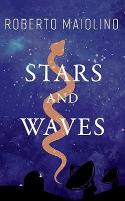 Stars And Waves by Maiolino, Roberto | Paperback | Crime & Mystery 2