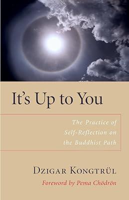 It's Up to You: The Practice of Self-Reflection on the Buddhist Path by Kongtrul, Dzigar | Paperback | Religion 2