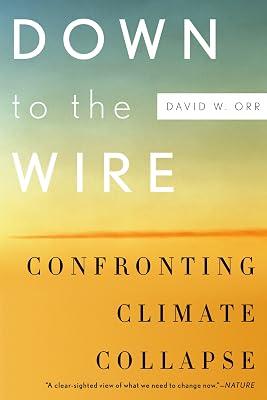 Down to the Wire: Confronting Climate Collapse by David W Orr | Paperback | Climate Change 2
