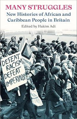 Many Struggles: New Histories of African and Caribbean People in Britain | Paperback | Social & Cultural History 2
