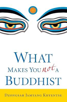 What Makes You Not a Buddhist by Khyentse, Dzongsar Jamyang | Paperback | Religion 2