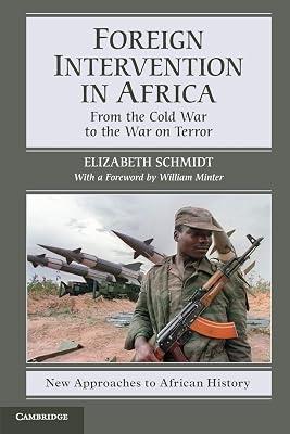 Foreign Intervention in Africa: From the Cold War to the War on Terror: 7 (New Approaches to African History, Series Number 7) by Schmidt, Elizabeth | Paperback | History 2