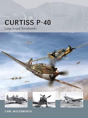 Curtiss P-40 by Molesworth, Carl | Paperback | History 2