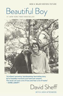 Beautiful Boy (Tie-In): A Father's Journey Through His Son's Addiction by Sheff, David | Paperback | Biography & Autobiography 2