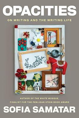 Opacities: On Writing and the Writing Life by Samatar, Sofia | Paperback | Language Arts & Disciplines 2