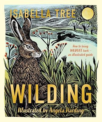Wilding: An illustrated guide to letting nature back in by Isabella Tree, Angela Harding | Hardcover | Children’S 2