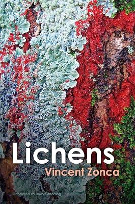Lichens - Toward a Minimal Resistance by Zonca, Vincent | Paperback | Political Science 2