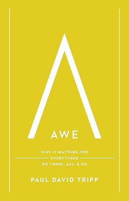 Awe: Why It Matters for Everything We Think, Say, & Do by Tripp, Paul David | Hardcover | Religion 2