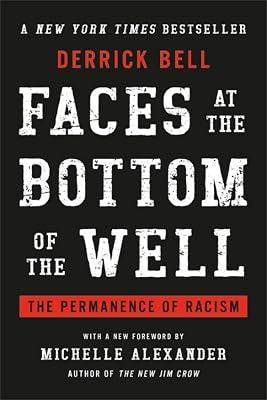 FACES AT THE BOTTOM OF THE WELL: THE PERMANENCE OF RACISM by Bell, Derrick | Paperback | History Of The Americas 2
