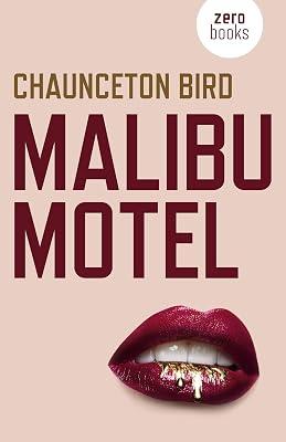 Malibu Motel: A novel about the colossal cost of free cash by Bird, Chaunceton | Paperback | Thriller 2