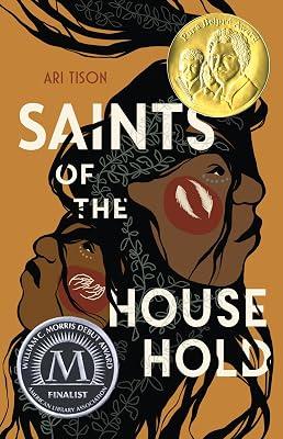 Saints of the Household by Tison, Ari | Hardcover | Young Adult Fiction 2
