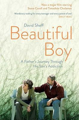 Beautiful Boy by Sheff, David | Paperback | Memoirs 2