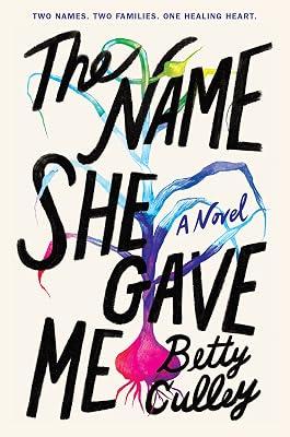 The Name She Gave Me by Culley, Betty | Hardcover | Young Adult Fiction 2