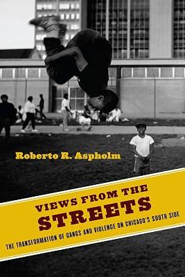 Views from the Streets by Aspholm, Roberto R. | Hardcover | Social Science 2