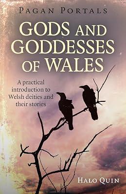 Pagan Portals - Gods and Goddesses of Wales by Quin, Halo | Paperback | Body 2