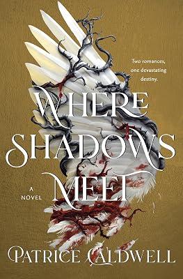Where Shadows Meet: A Novel by Caldwell, Patrice | Hardcover | Young Adult Fiction 2
