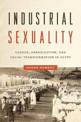 Industrial Sexuality: Gender, Urbanization, and Social Transformation in Egypt by Hammad, Hanan | Hardcover | African History 2