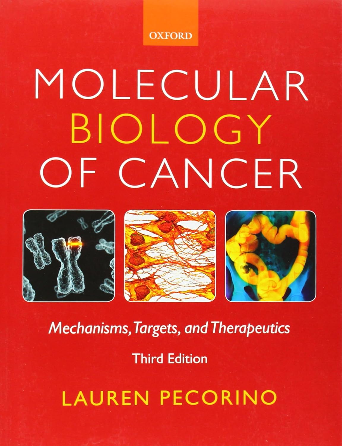 Buy Molecular Biology of Cancer: Mechanisms, Targets, and Therapeutics (English, Paperback, Lauren Pecorino) Online at Best Price - GlowMirror