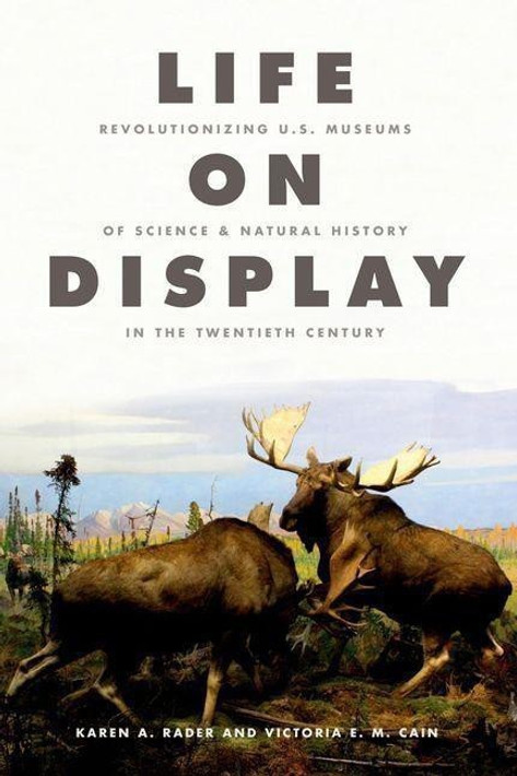 Buy Life on Display (English, Paperback) Online at Best Price - GlowMirror