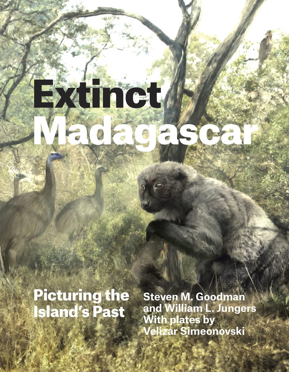 Buy Extinct Madagascar: Picturing the Island's Past (Emersion: Emergent Village resources for communities of faith) (English, Hardcover, Steven M. Good... Online at Best Price - GlowMirror