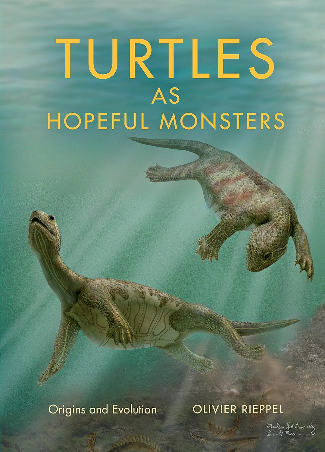 Buy Turtles As Hopeful Monsters: Origins and Evolution (Life of the Past) (English, Paperback, Olivier Rieppel) Online at Best Price - GlowMirror