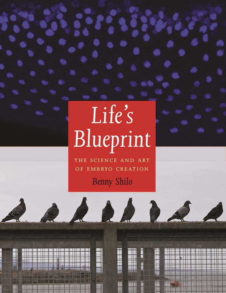 Buy Life's Blueprint: The Science and Art of Embryo Creation (English, Paperback, Benny Shilo) Online at Best Price - GlowMirror