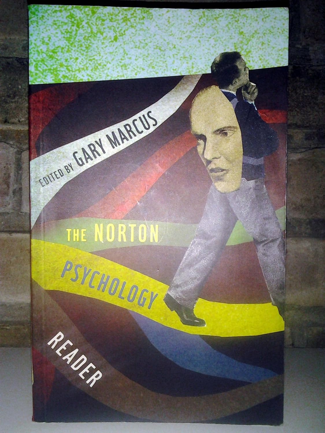 Buy The Norton Psychology Reader (English, Paperback, Gary Marcus) Online at Best Price - GlowMirror