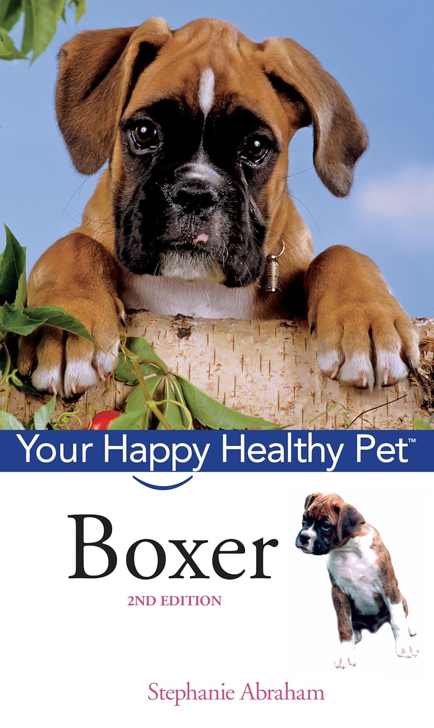 Buy Boxer: Your Happy Healthy Pet: 100 (English, Paperback, ABRAHAM) Online at Best Price - GlowMirror