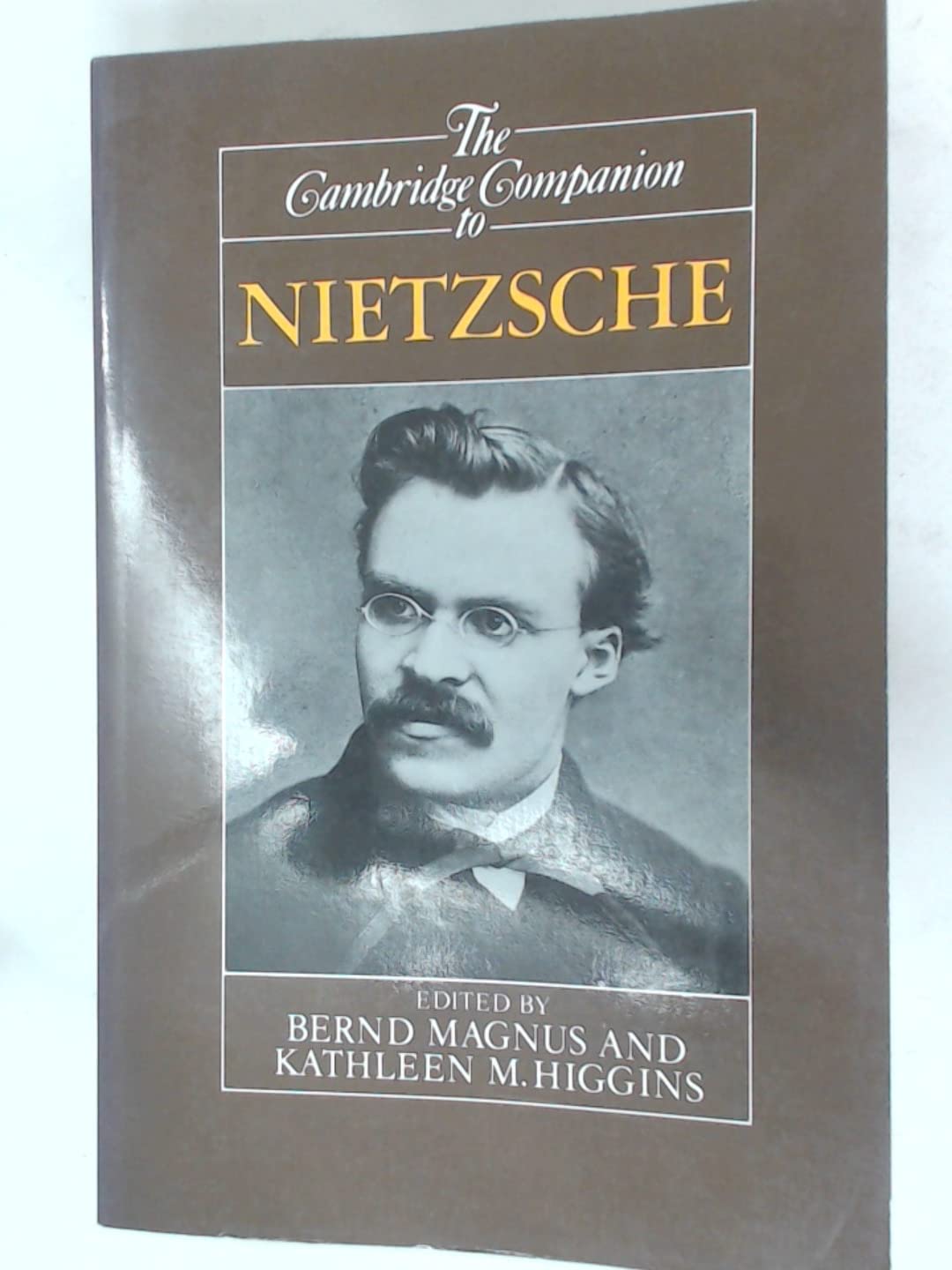 Buy The Cambridge Companion to Nietzsche (English, Paperback, Bernd Magnus, Kathleen Higgins) Online at Best Price - GlowMirror