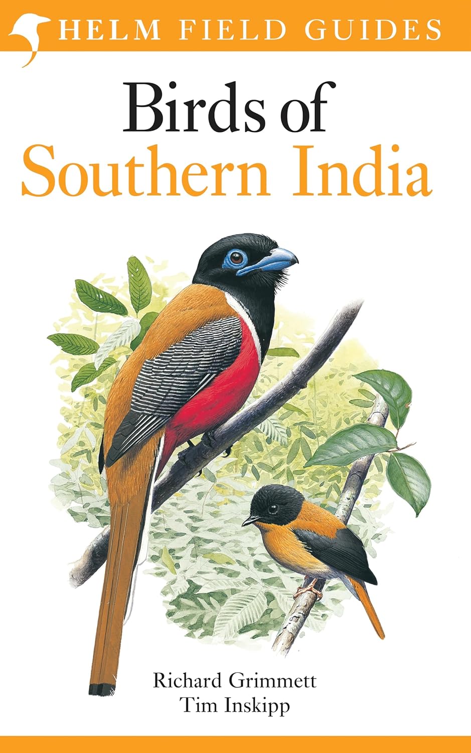 Buy Birds of Southern India (English, Paperback, Richard Grimmett, Tim Inskipp) Online at Best Price - GlowMirror