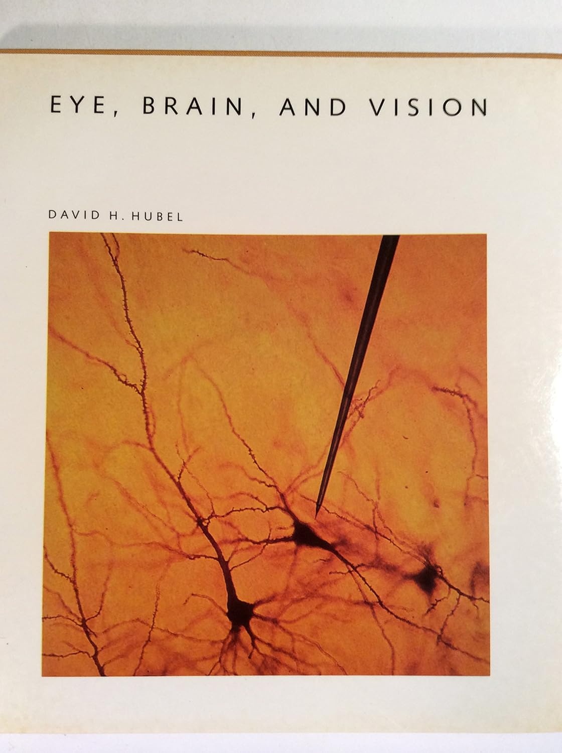 Buy Eye, Brain and Vision ("Scientific American" Library) (English, Hardcover, David H. Hubel) Online at Best Price - GlowMirror