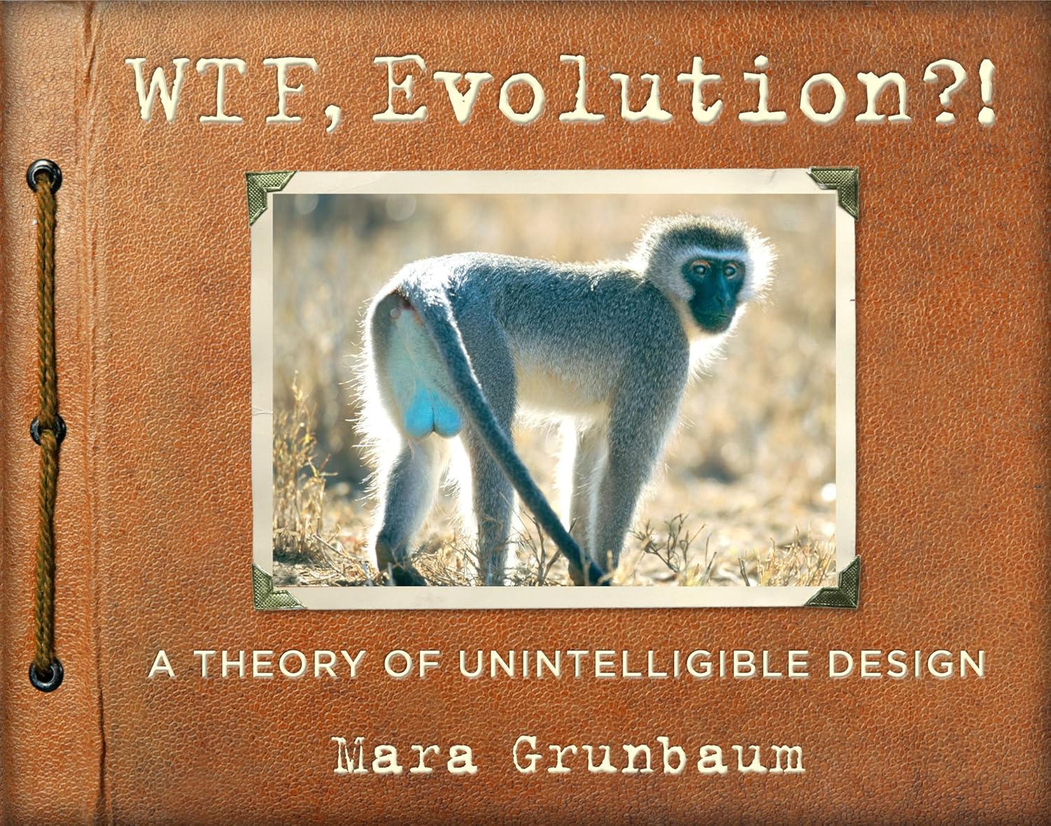 Buy WTF, Evolution?! (English, Paperback, Workman Publishing, Mara Grunbaum) Online at Best Price - GlowMirror