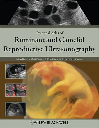 Buy Practical Atlas OF Ruminant AND Camelid Reproductive Ultrasonography (HB 2010) (English, Hardcover, Luc Descoteaux, Giovanni Gnemmi, Jill Colloton) Online at Best Price - GlowMirror