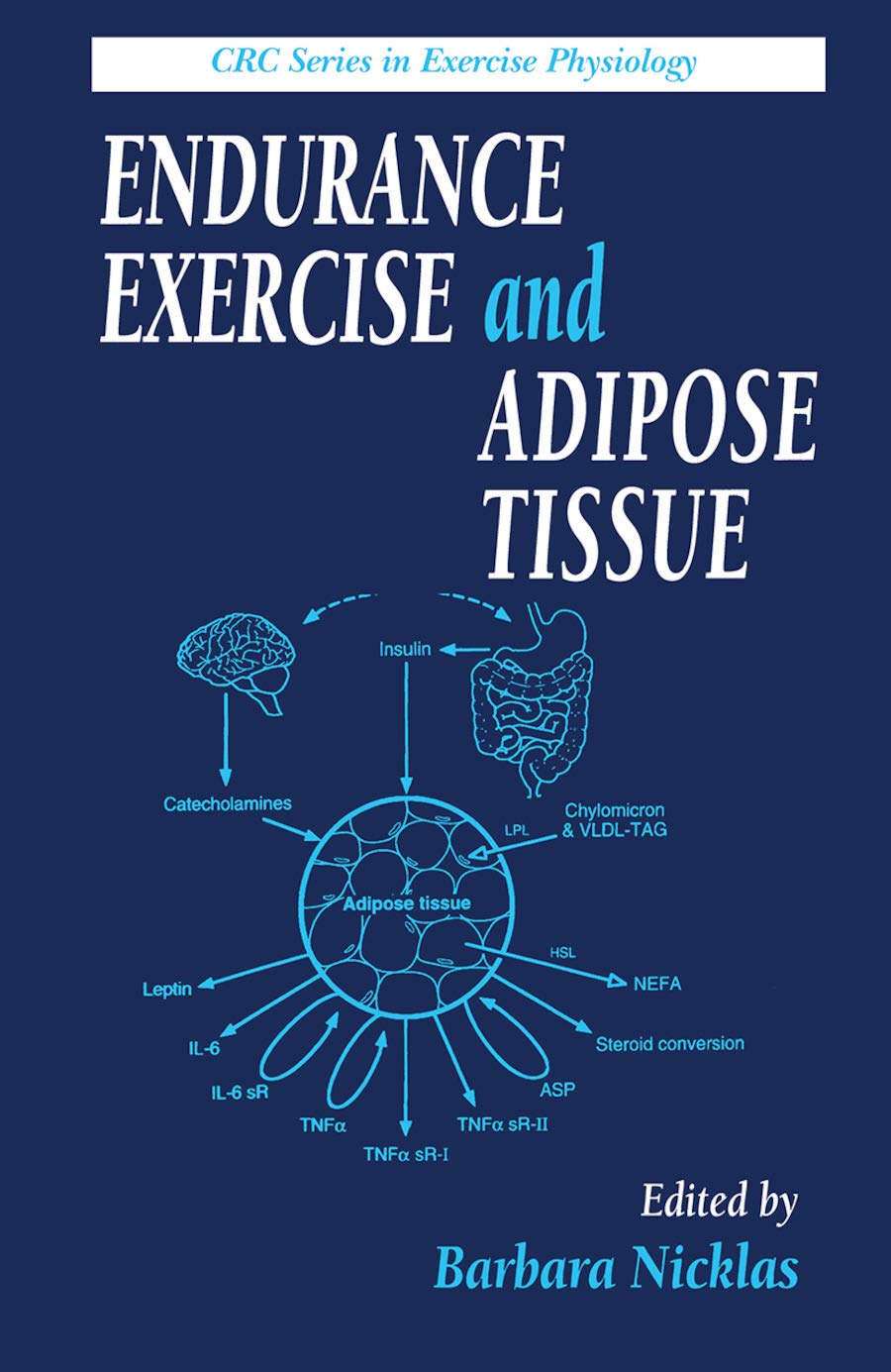 Buy Endurance Exercise and Adipose Tissue (Exercise Physiology, 5) (English, Paperback, Barbara Nicklas) Online at Best Price - GlowMirror