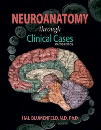 Buy Neuroanatomy Through Clinical Cases (English, Paperback, Hal Blumenfeld) Online at Best Price - GlowMirror