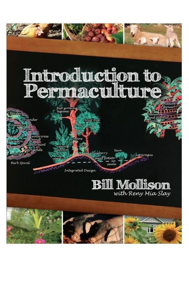 Buy Introduction to Permaculture (English, Paperback, Bill Mollison, Reny Mia Slay, A. Jeeves) Online at Best Price - GlowMirror