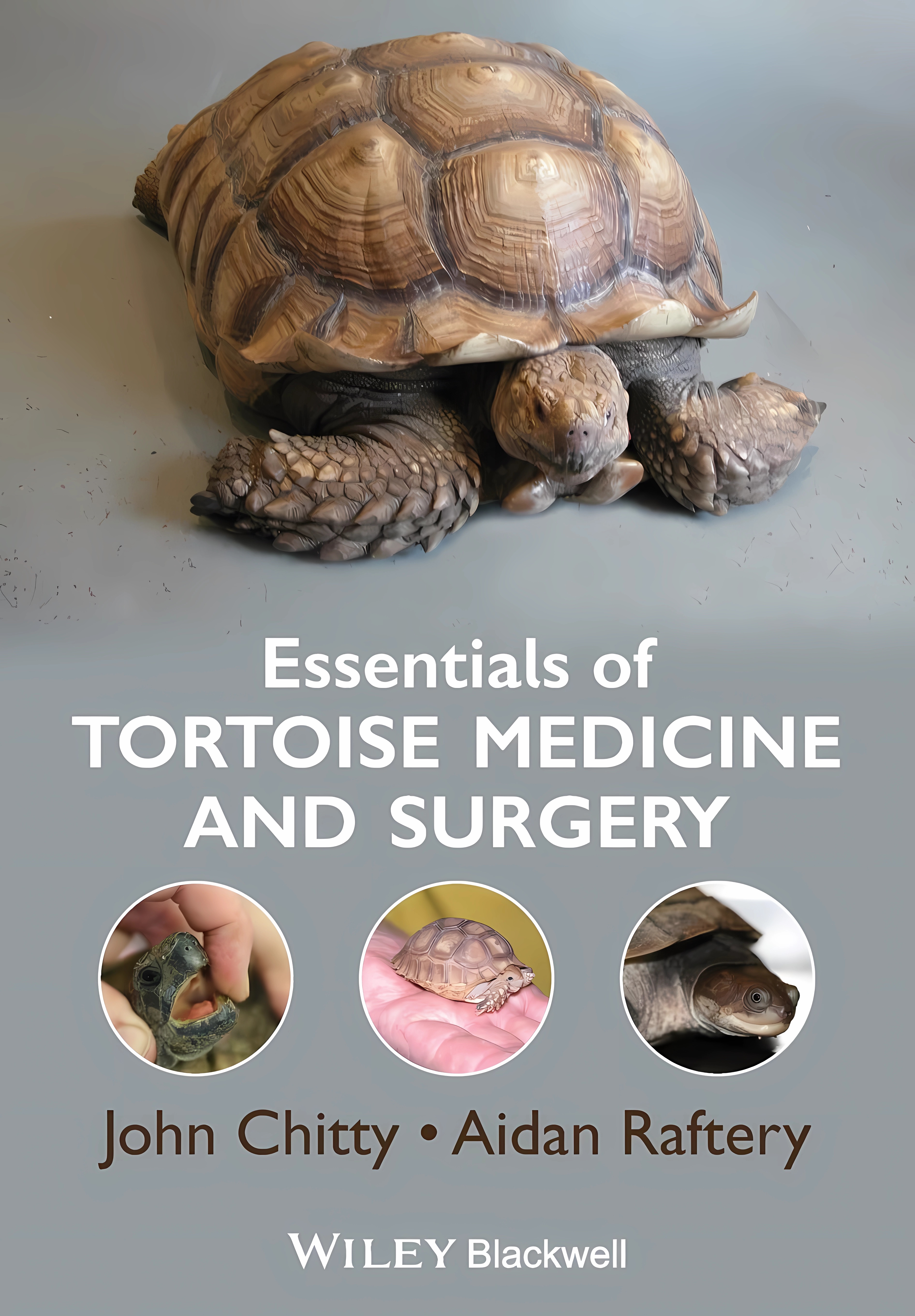 Buy Essentials of Tortoise Medicine and Surgery (English, Paperback, John Chitty) Online at Best Price - GlowMirror
