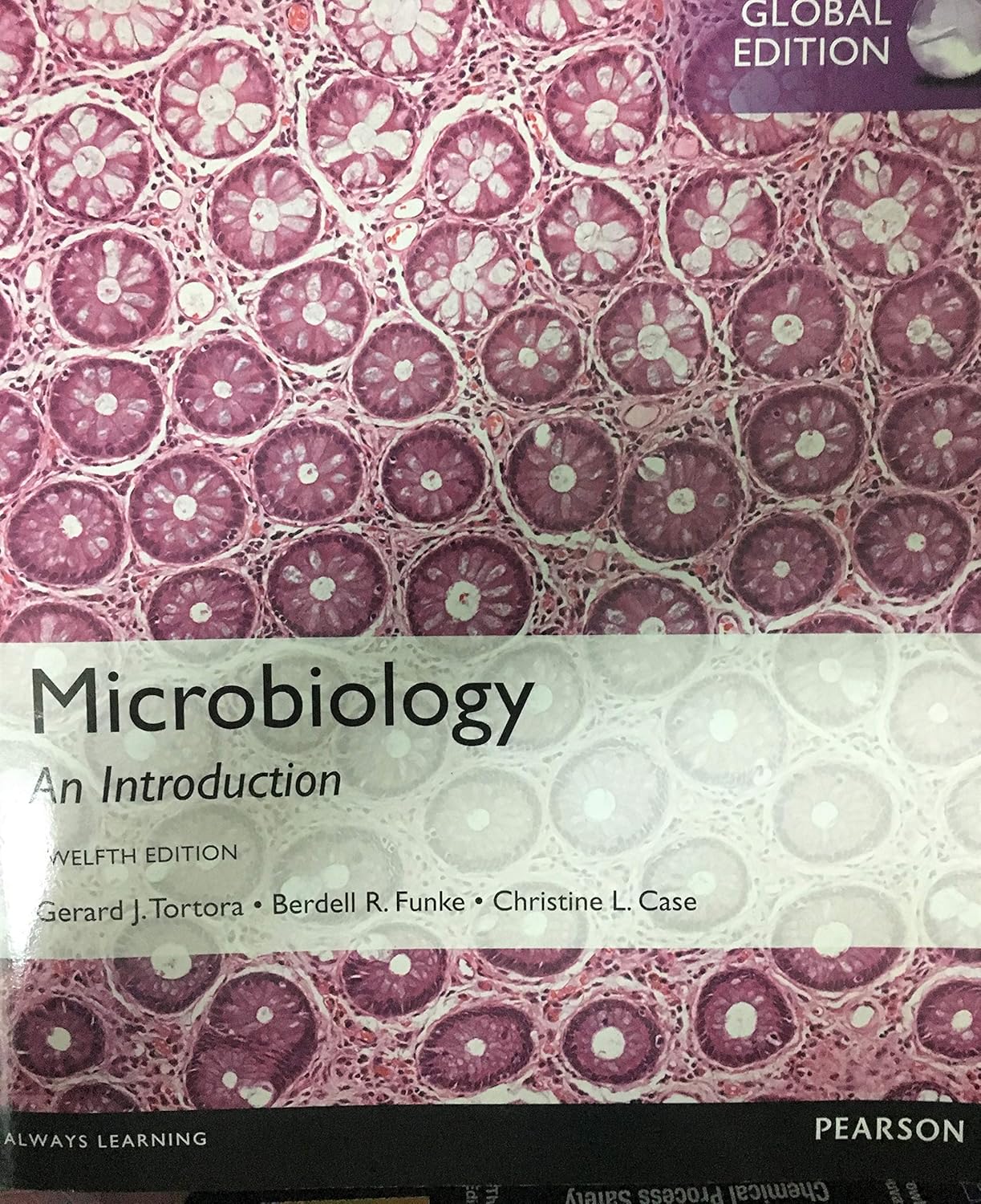 Microbiology: An Introduction, Global Edition (English, Hardcover, Gerard Tortora, Berdell Funke, Christine Case) - Image 1 - GlowMirror